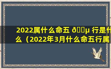 2022属什么命五 🌵 行是什么（2022年3月什么命五行属什么 🐋 ）